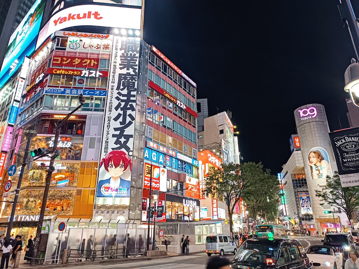 Shibuya Crossing and surrounding free areas