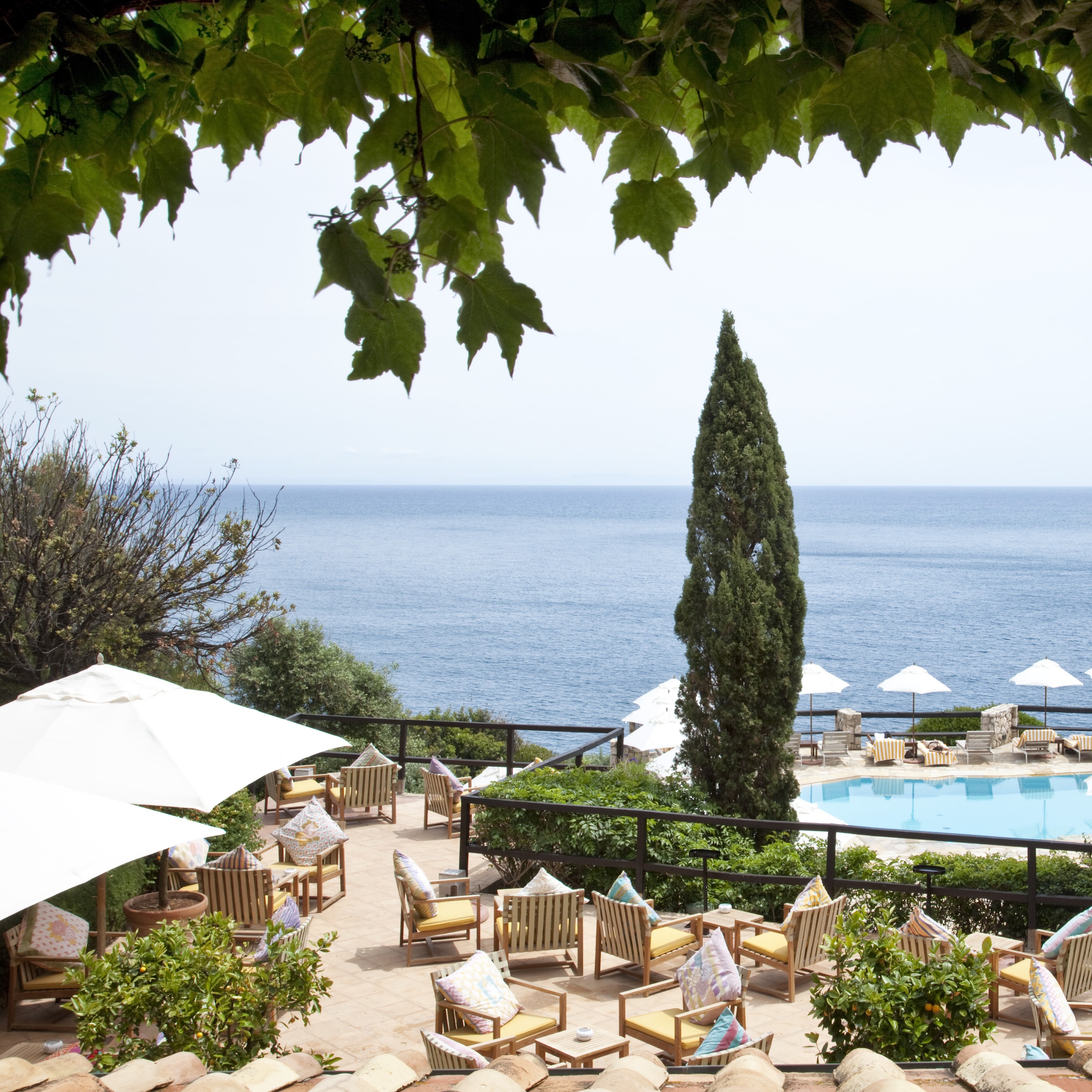 Il Pellicano