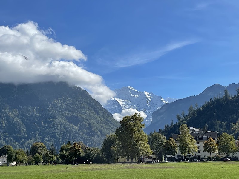 Aare River & Höhematte Park Walk