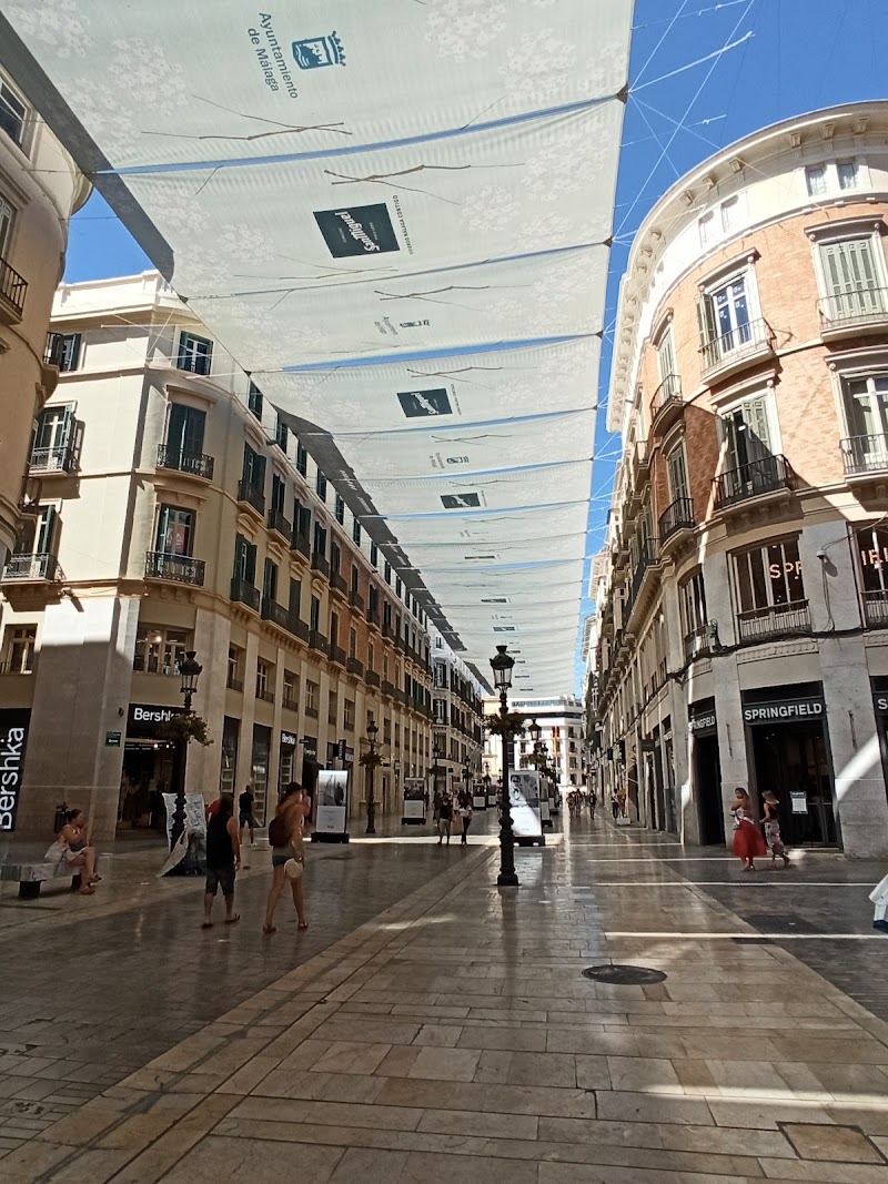 Calle Marqués de Larios & Centro Histórico Stroll