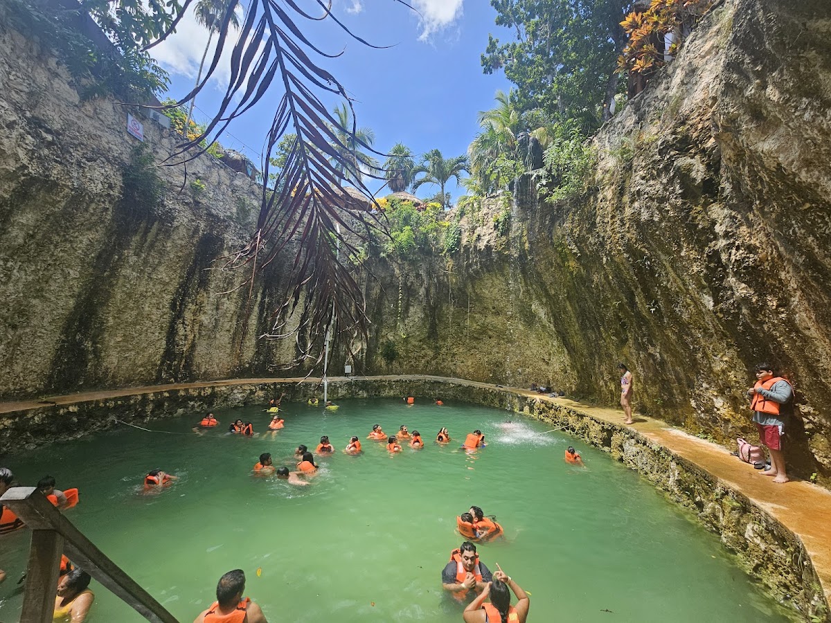 Cenote Swim Experience