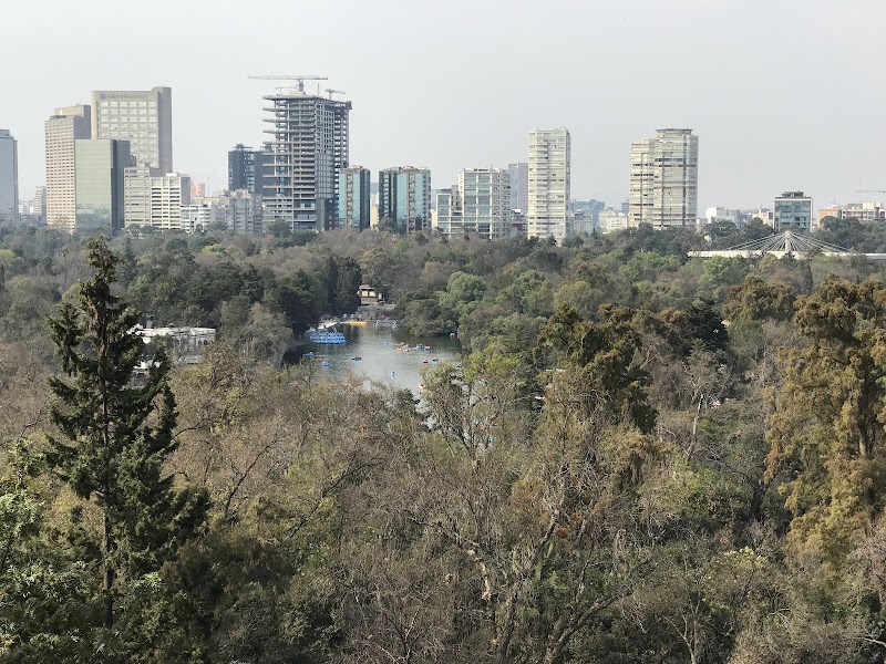 Chapultepec Park & Anthropology Museum