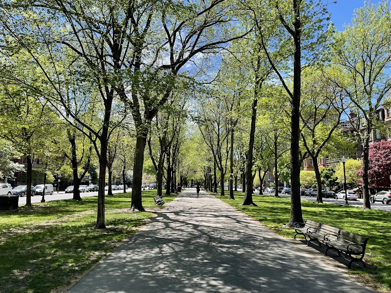 Commonwealth Avenue Mall & Charles River Esplanade (Boston Side)