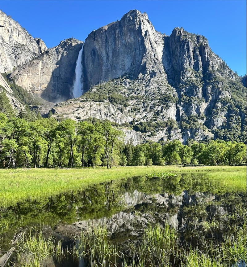 Cook's Meadow Loop