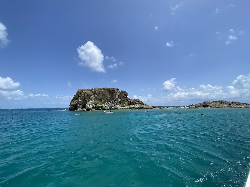 Creole Rock Snorkeling Trip