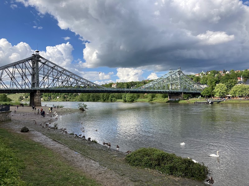 Elbe Riverside Walk: Loschwitz to Blasewitz via Blue Wonder