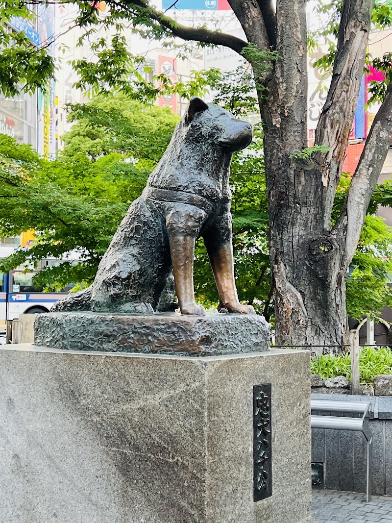 Hachiko Statue & Shibuya Scramble Crossing