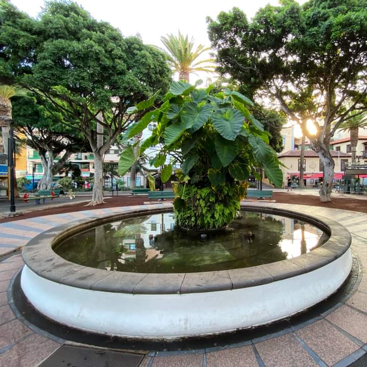 Plaza del Charco Evening Stroll
