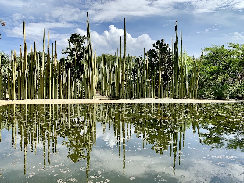 Jardín Etnobotánico de Oaxaca