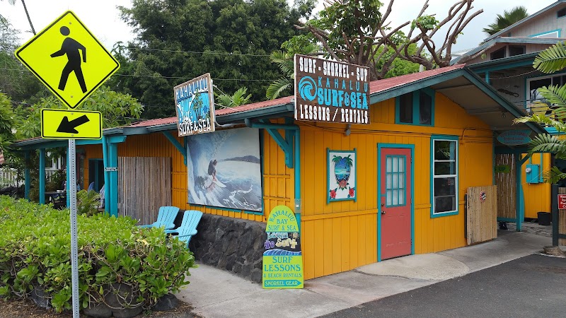 Kahalu‘u Bay Surfing or Snorkeling Session