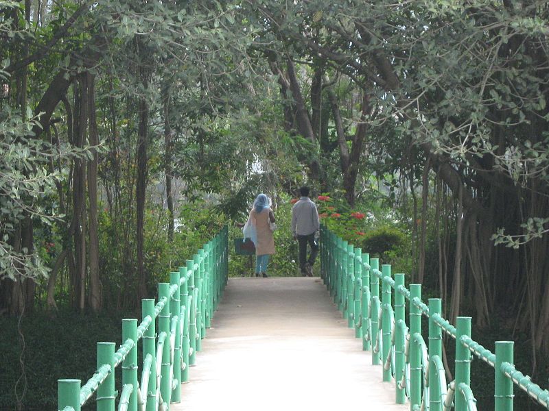Karanji Lake & Butterfly Park