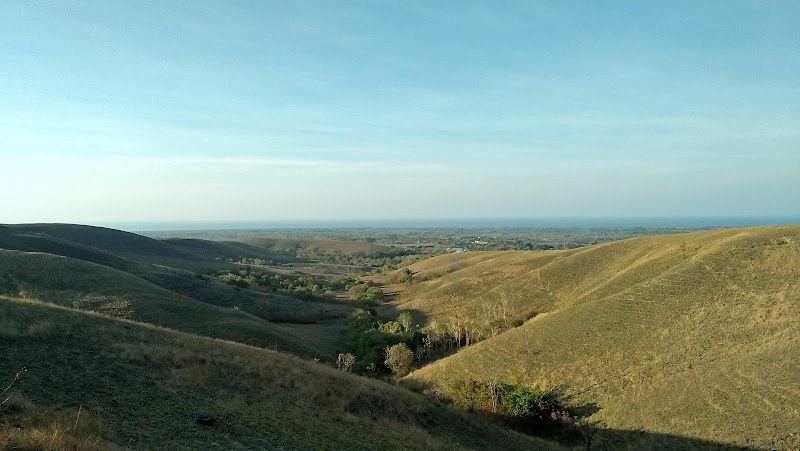 Lendongara Hill (Bukit Lendongara)