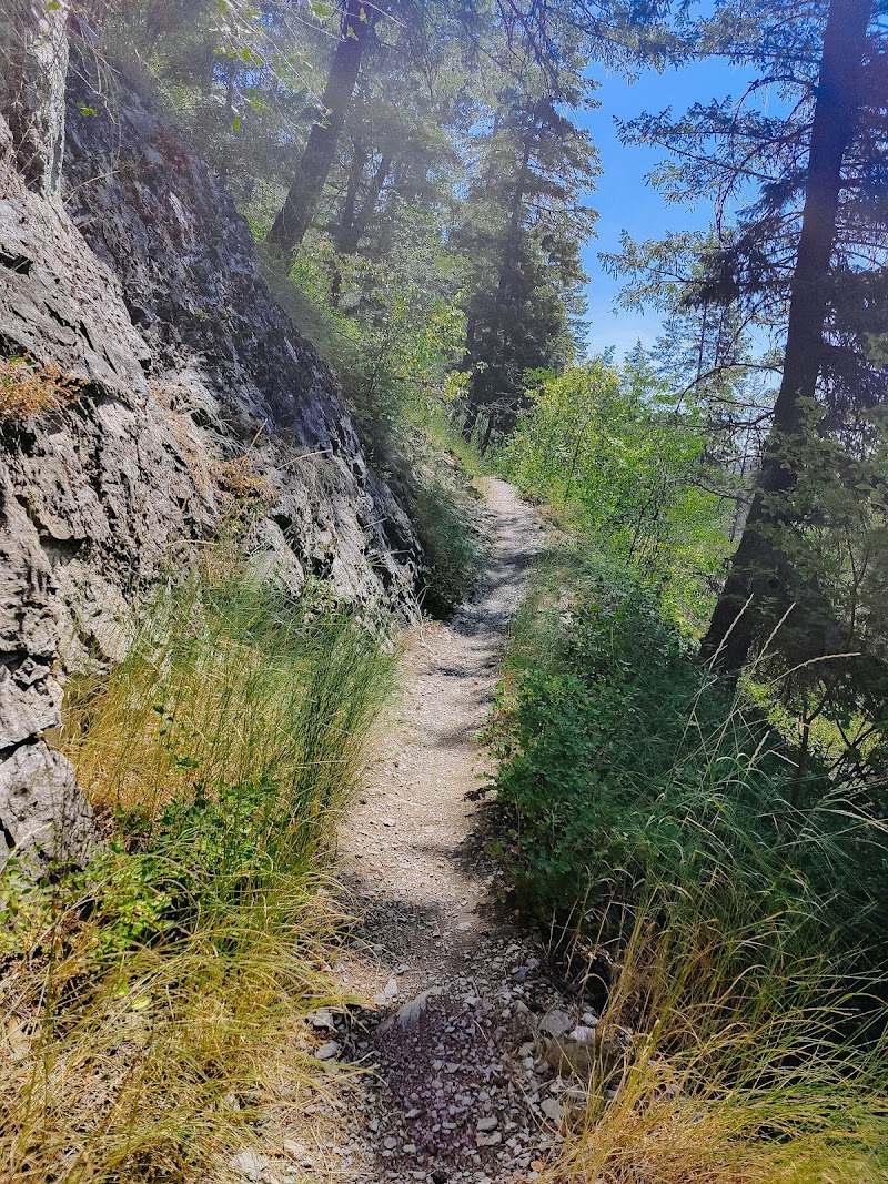 Lion Mountain Trail (Whitefish Trail)