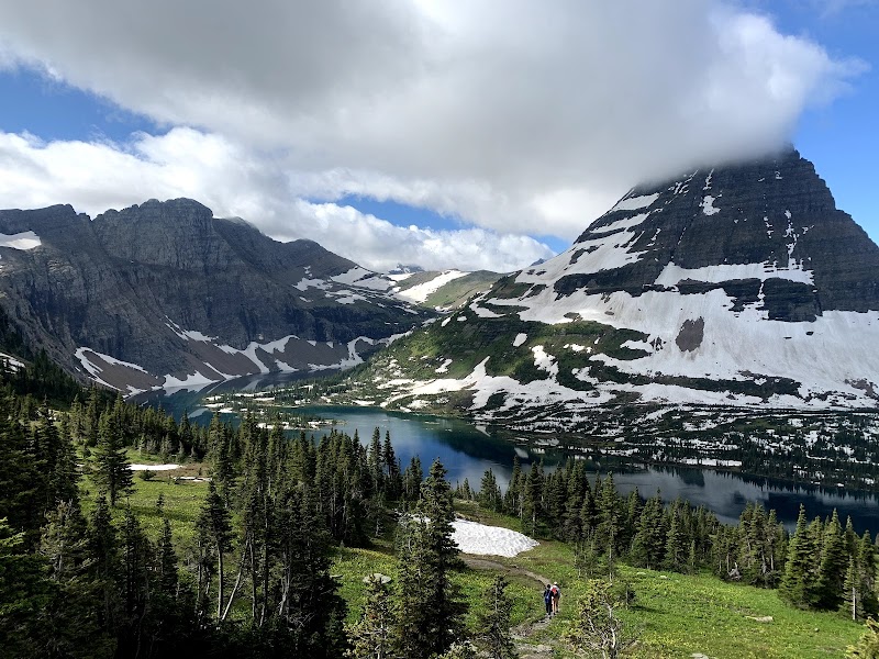 Logan Pass: Hidden Lake Overlook or Boardwalk Explore