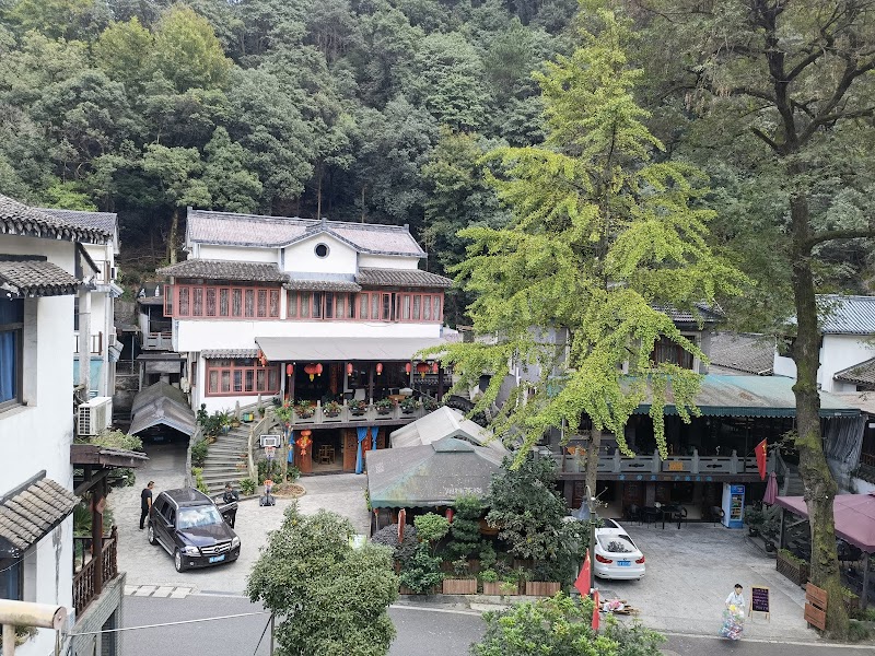Longjing Tea Fields Walk (Dragon Well Village)