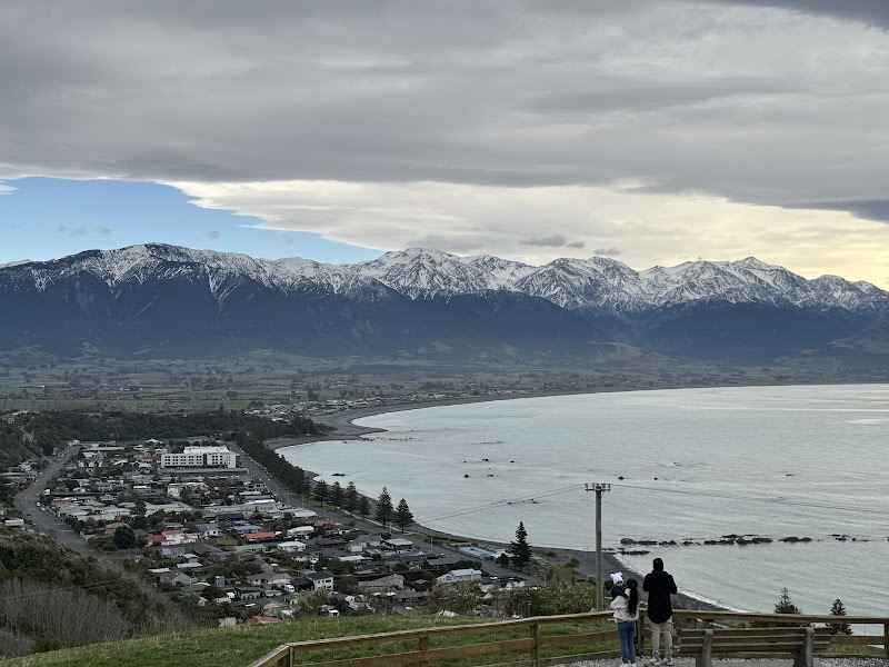 Māori Tours Kaikōura (Full-Day Experience)