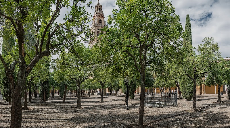 Patio de los Naranjos & Judería Stroll