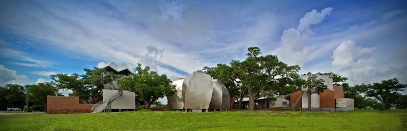 Ohr-O’Keefe Museum of Art & Live Oaks