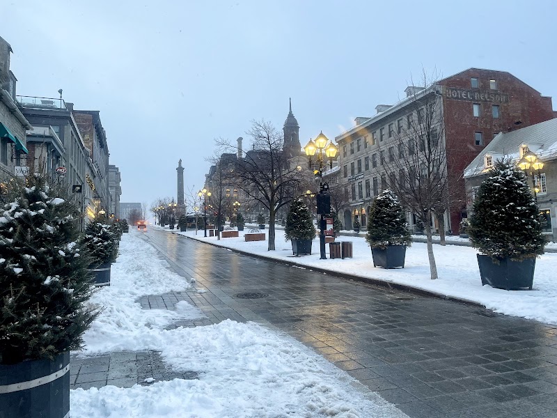 Old Montreal Walking Exploration