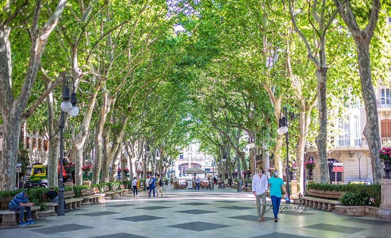 Passeig del Born