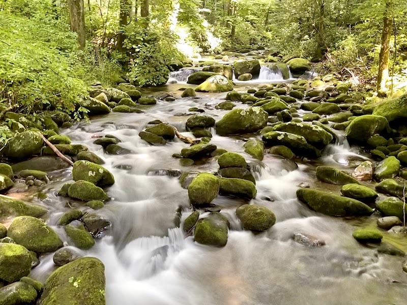 Roaring Fork Motor Nature Trail