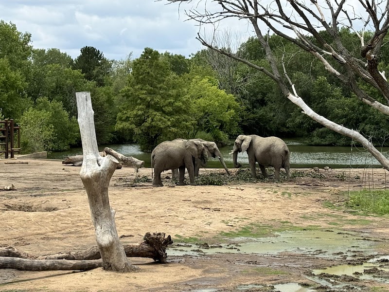 Sedgwick County Zoo