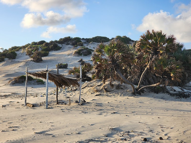 Shela Dunes Walk