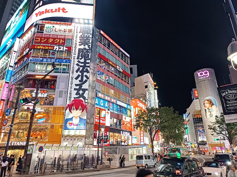 Shibuya Crossing & Center Gai