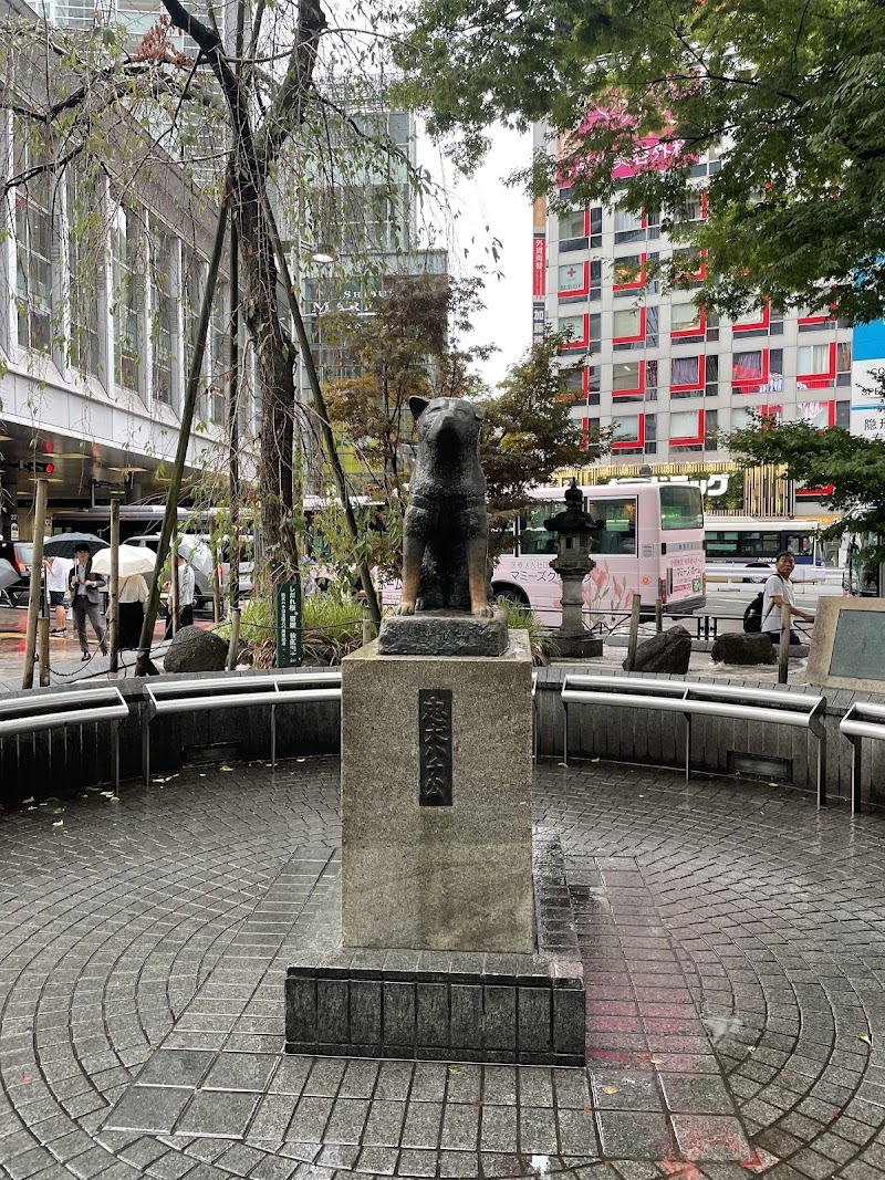 Shibuya Crossing & Hachikō Square