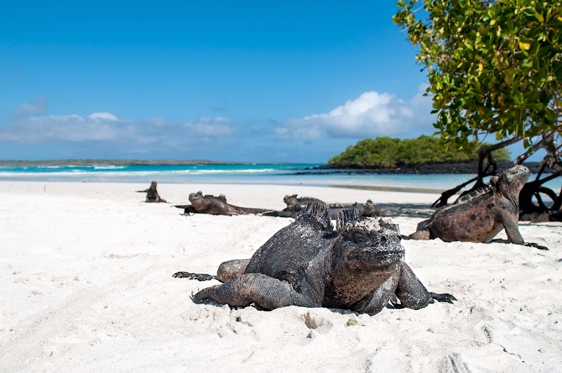 Tortuga Bay Beach Walk
